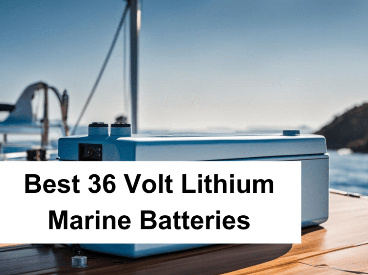 The Best 36 Volt Lithium Marine Battery - All About Marina